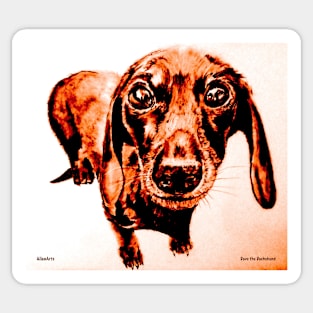 Dave the Dachshund 2 by AllansArts Sticker